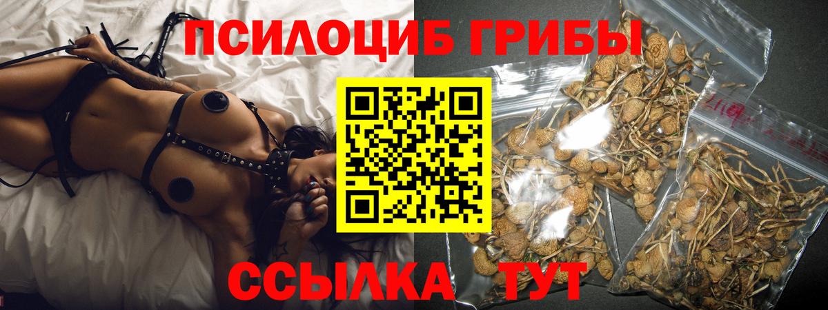 Псилоцибиновые грибы мухоморы  Вход с VPN  Элиста 